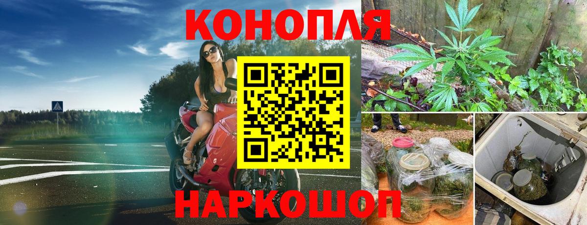 Канабис семена Клин